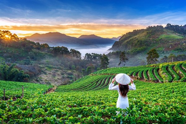 Kerala custom tour taxi service review