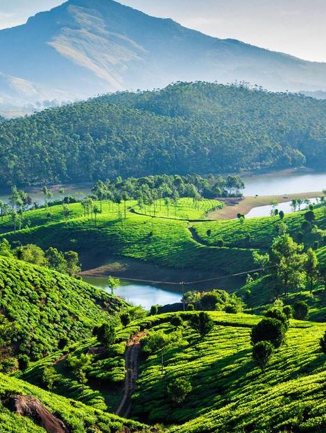 Kerala taxi packages